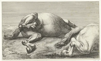 Zwei im Kampf getötete Pferde, von links gesehen